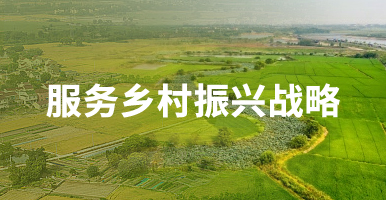 服务乡村振兴战略